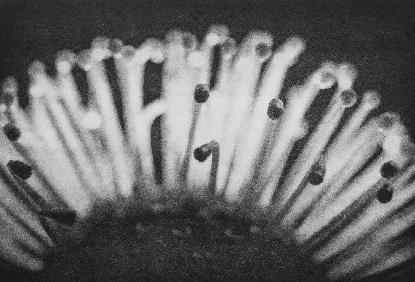 Organic composition I | 2017 | 38x58cm | photogravure